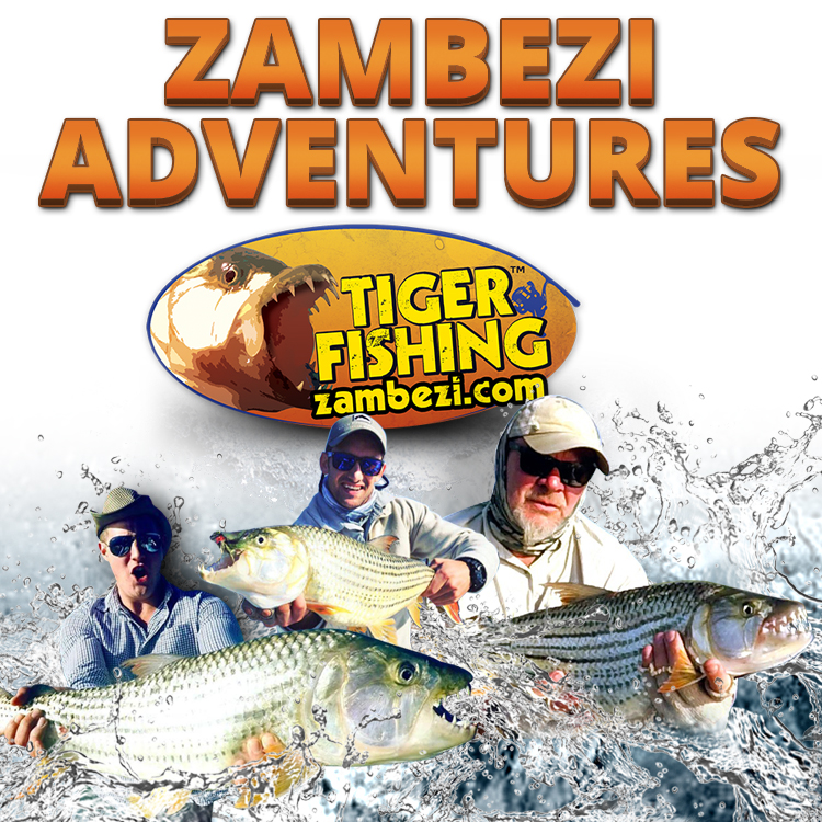 Tiger Fishing Zambezi Adventures