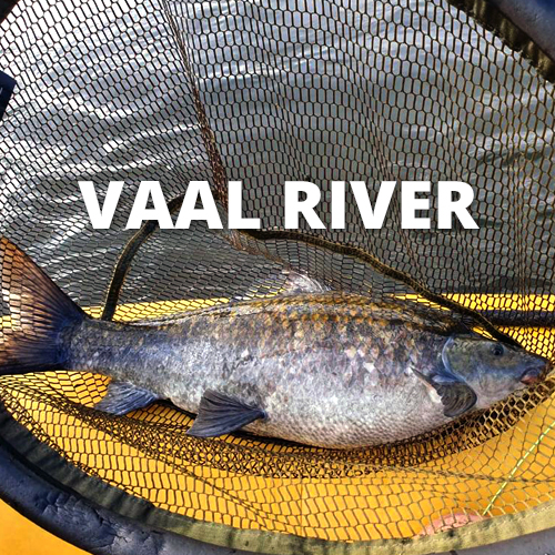 aof-vaal-river-packages.jpg (350 KB)