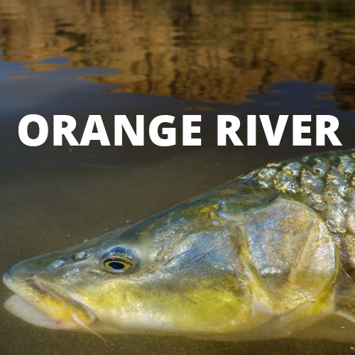 orange-river.jpg (209 KB)